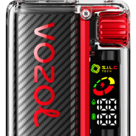 VOZOL Vape Wholesale - VOZOL VISTA 16000/20000 malinový meloun 664P13